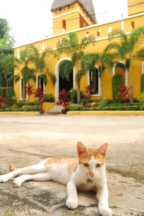 Riad HHQ Esterno foto